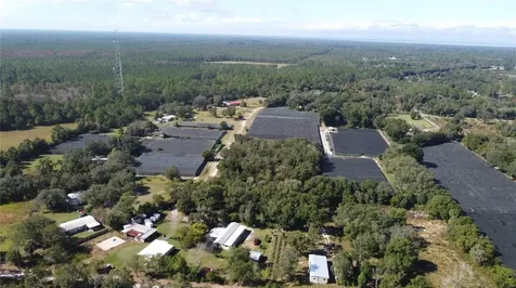 190 Dickie Lane Pierson FL 32180