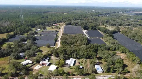 190 Dickie Lane Pierson FL 32180