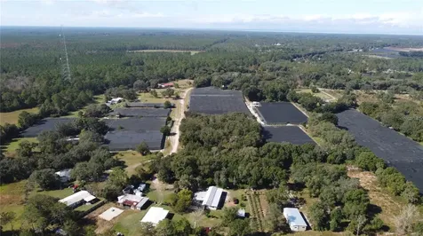 190 Dickie Lane Pierson FL 32180