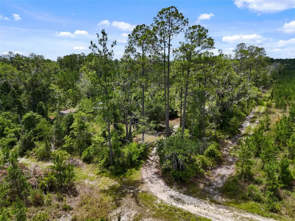2309 NE 73rd Avenue Gainesville FL 32609