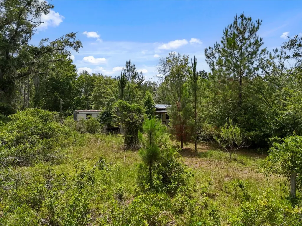 2309 NE 73rd Avenue Gainesville FL 32609