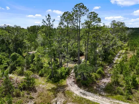 2309 NE 73rd Avenue Gainesville FL 32609