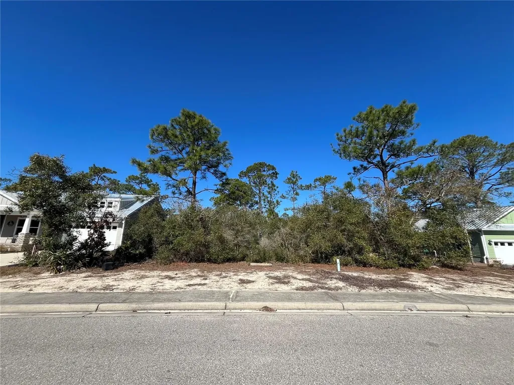 394 Royal Tern Way Carrabelle FL 32322