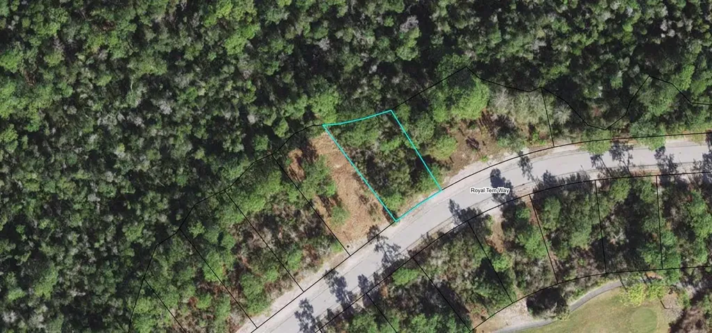 394 Royal Tern Way Carrabelle FL 32322