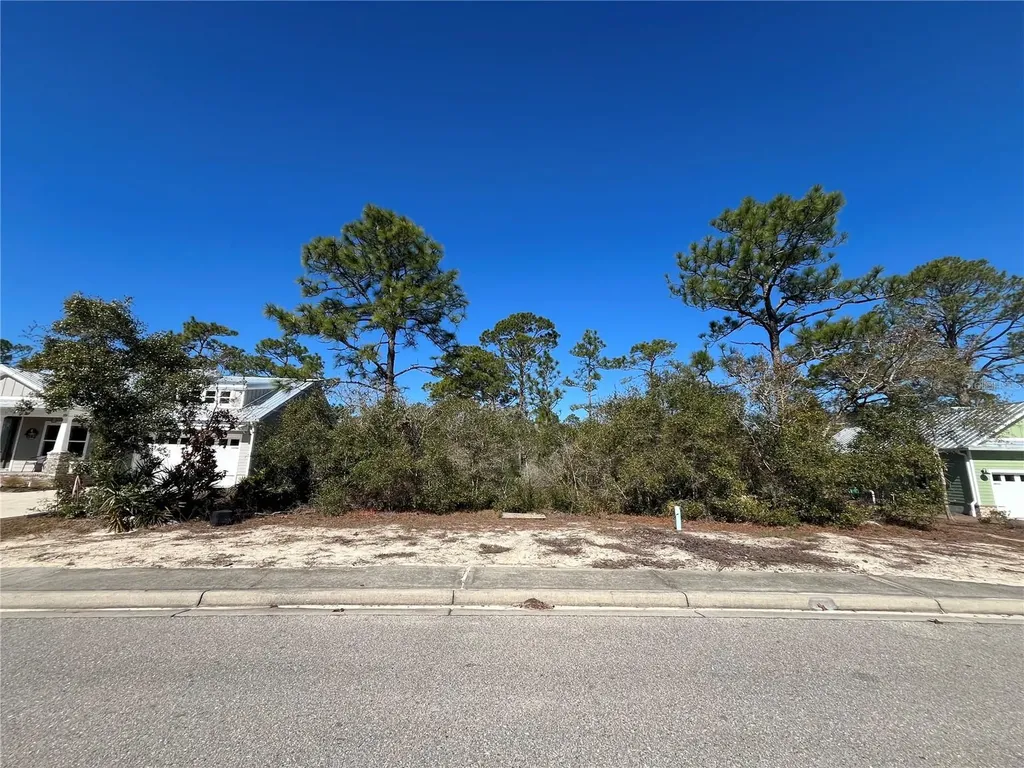 394 Royal Tern Way Carrabelle FL 32322