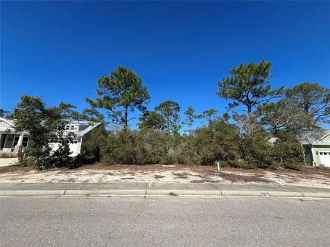 394 Royal Tern Way Carrabelle FL 32322