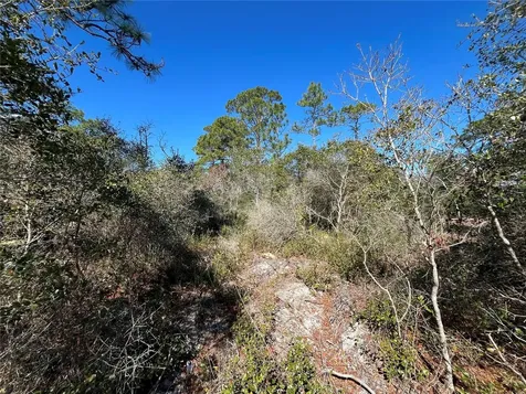 394 Royal Tern Way Carrabelle FL 32322
