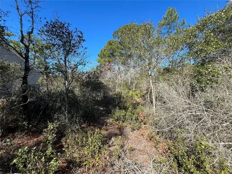 394 Royal Tern Way Carrabelle FL 32322