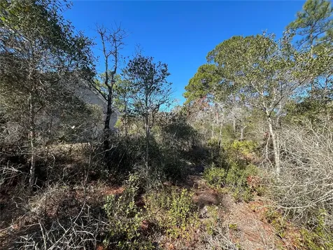 394 Royal Tern Way Carrabelle FL 32322