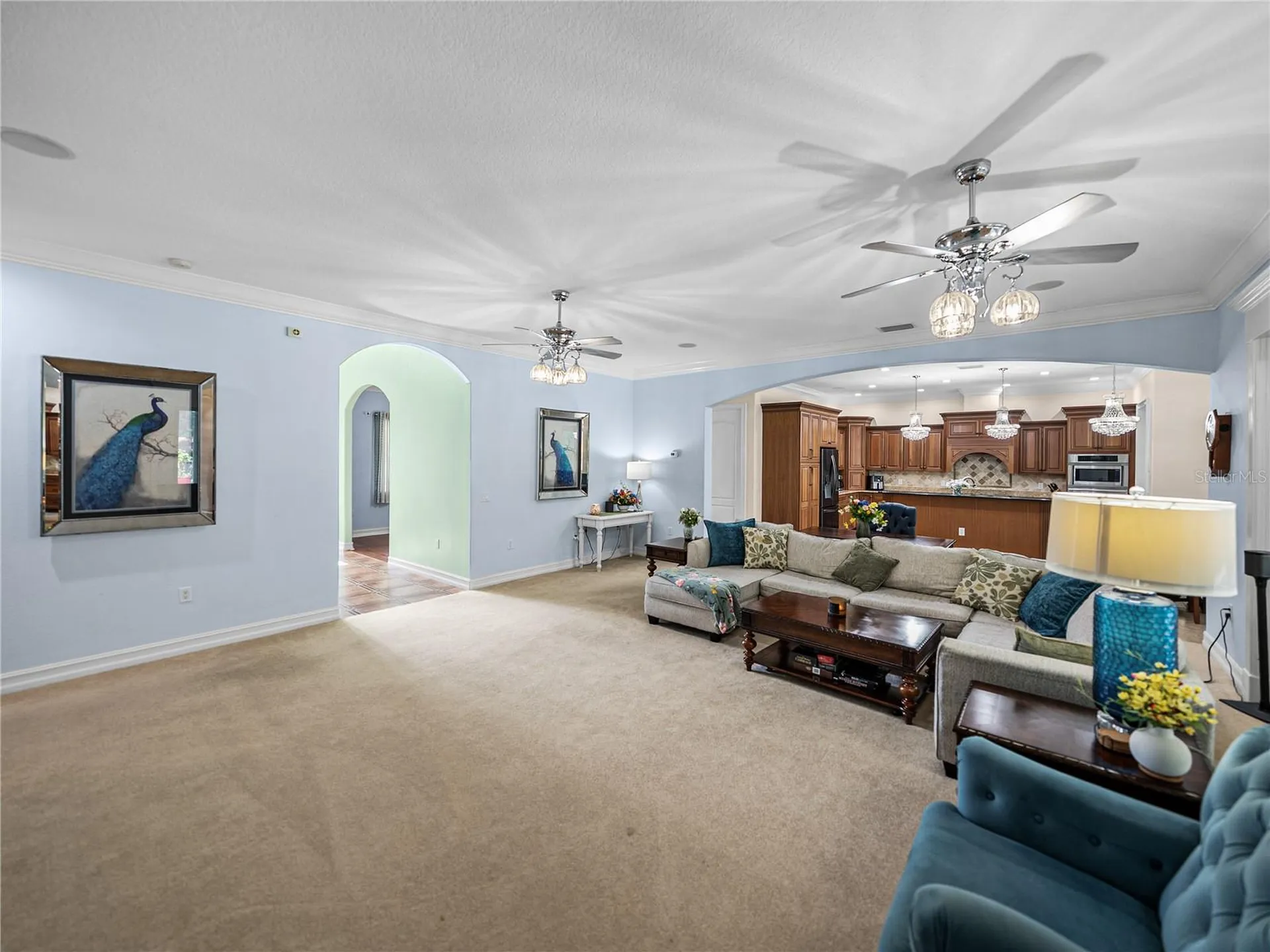 7427 20th Street Zephyrhills FL 33540