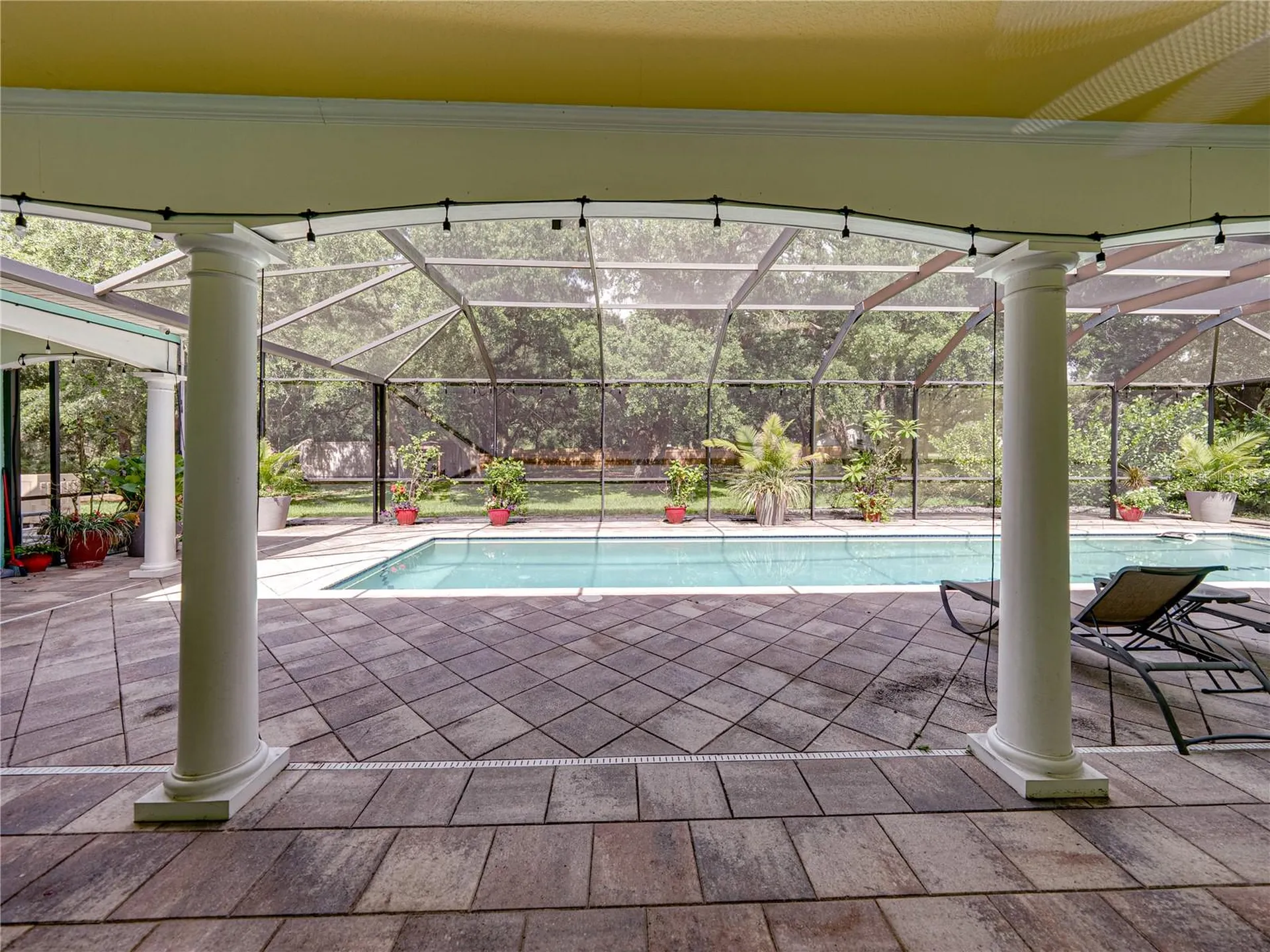 7427 20th Street Zephyrhills FL 33540