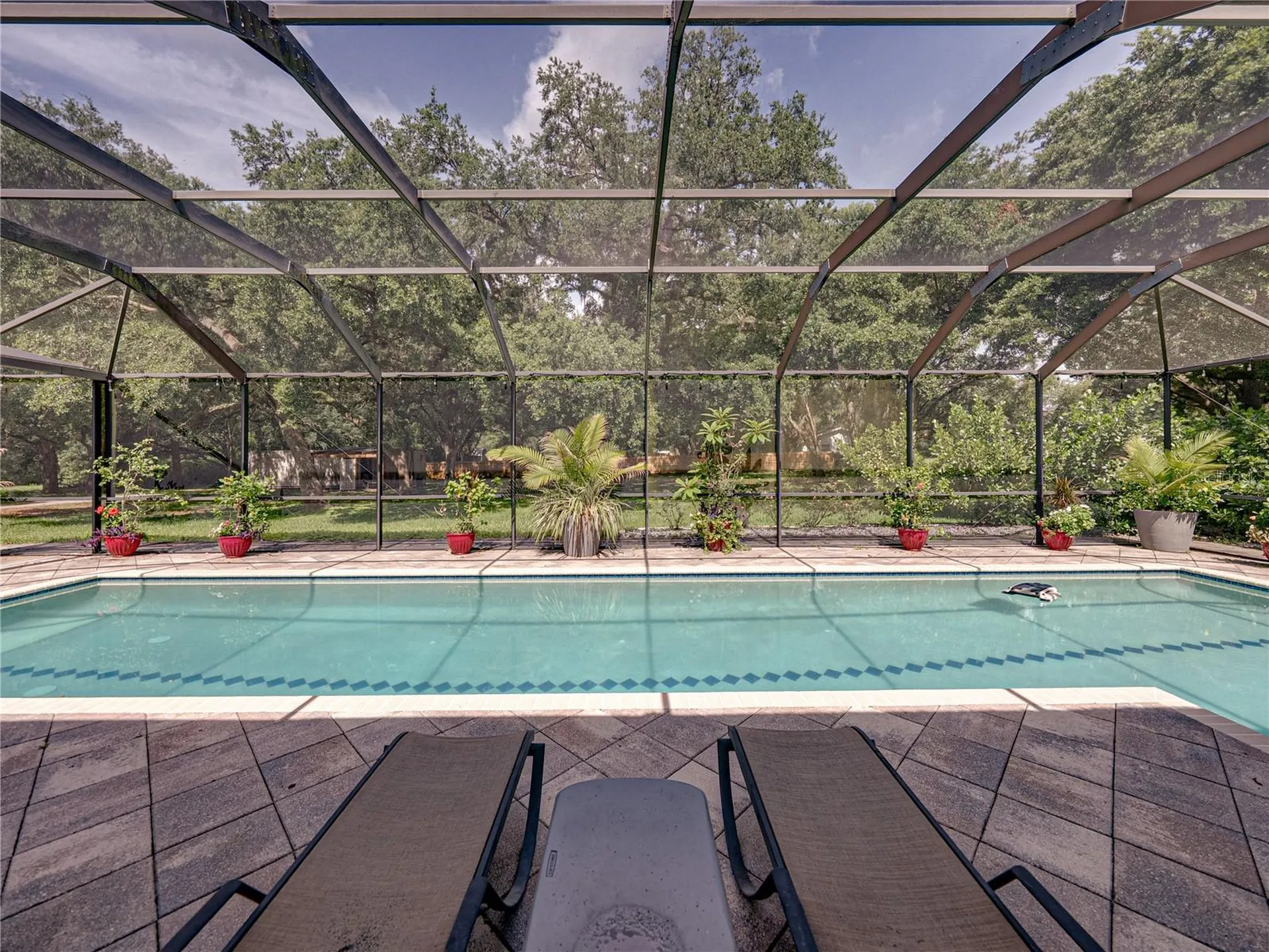 7427 20th Street Zephyrhills FL 33540