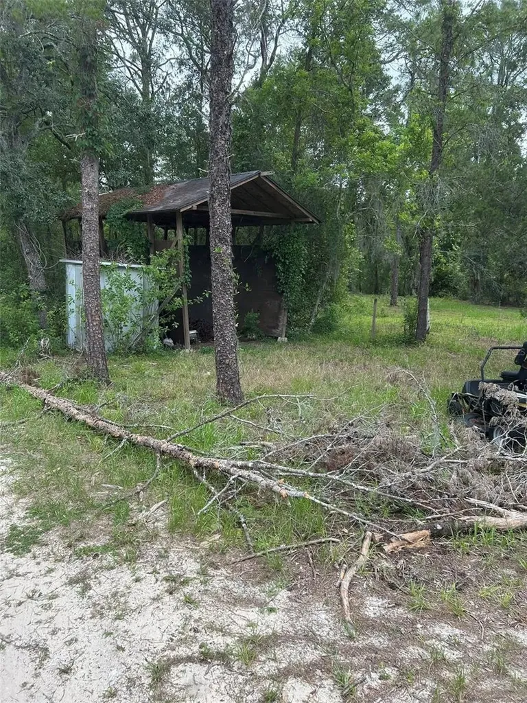 2060 E Mary Lue Street Inverness FL 34453