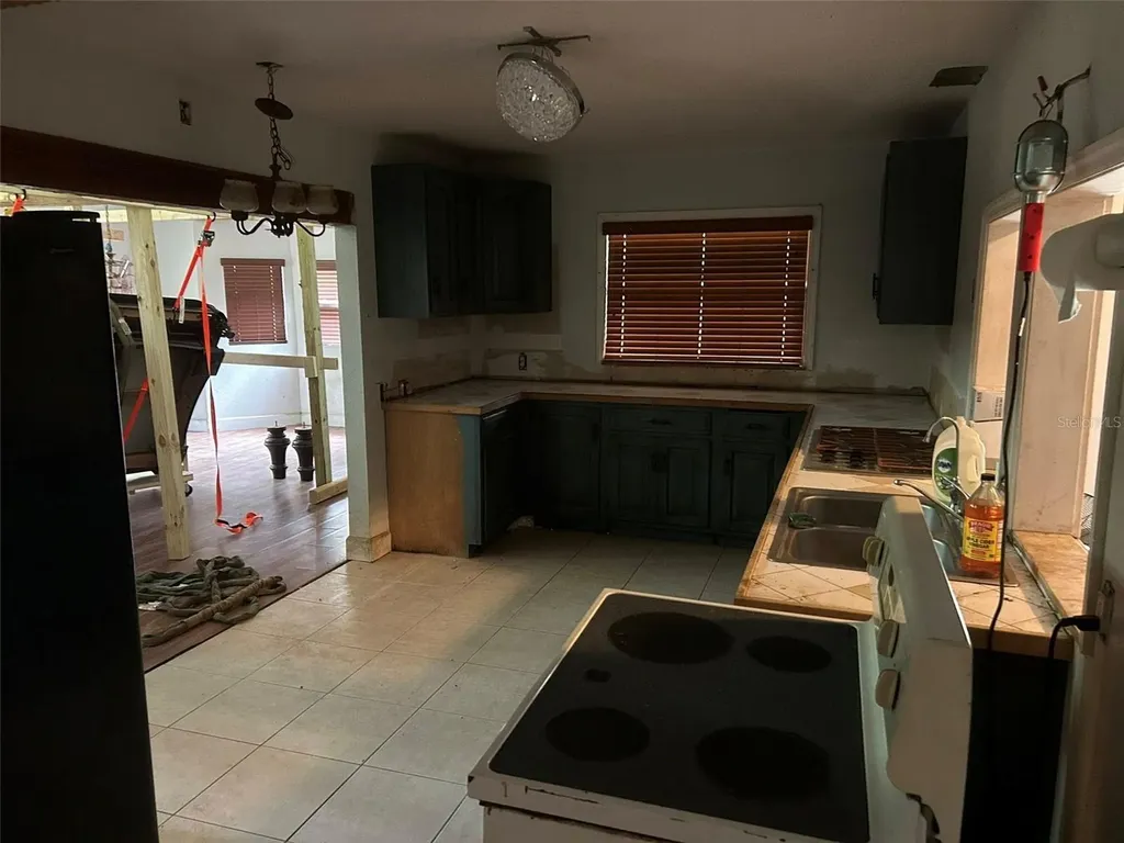 2060 E Mary Lue Street Inverness FL 34453