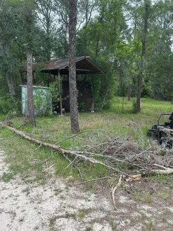2060 E Mary Lue Street Inverness FL 34453