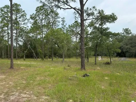 2060 E Mary Lue Street Inverness FL 34453