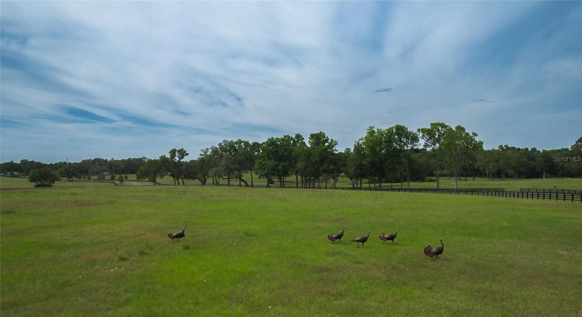 13381 W Highway 40 (lot 8) Ocala FL 34481
