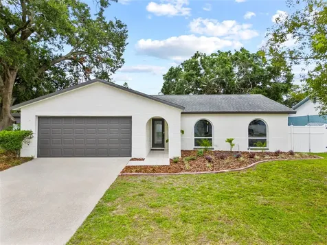 6204 Walsh Lane Tampa FL 33625