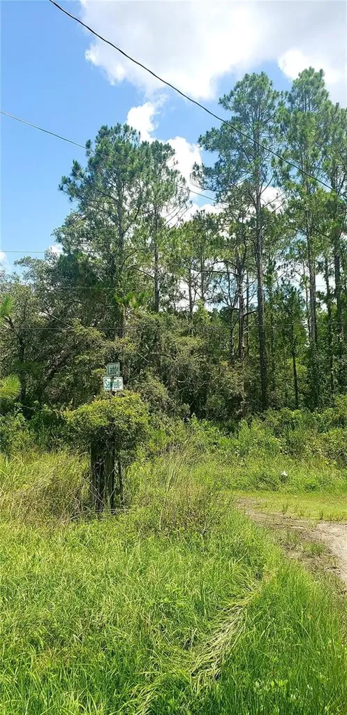 0 Ladd Avenue New Port Richey FL 34654