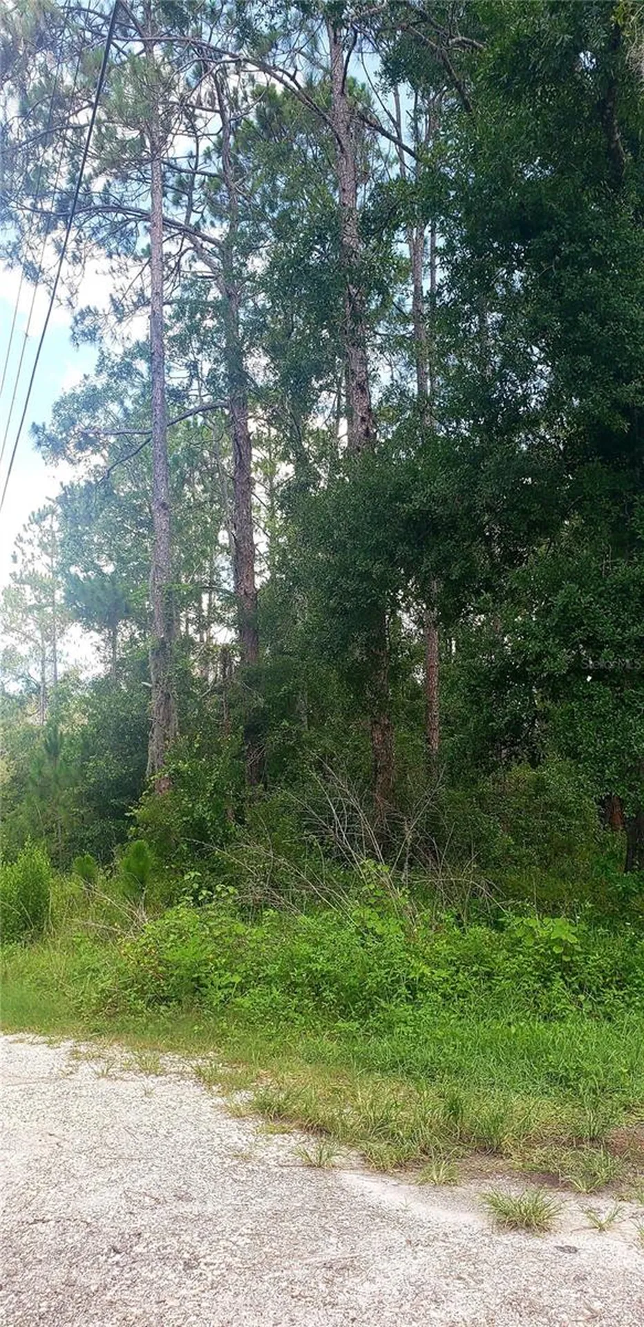 0 Ladd Avenue New Port Richey FL 34654