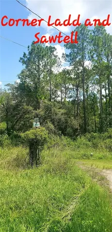 0 Ladd Avenue New Port Richey FL 34654