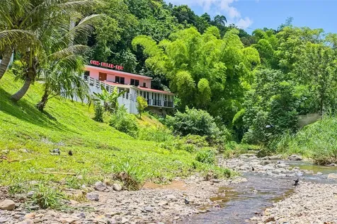 135 Villa Perez Adjuntas PR 00601