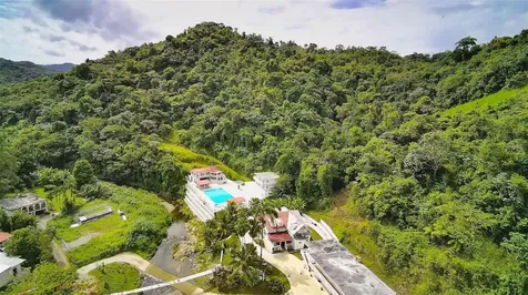 135 Villa Perez Adjuntas PR 00601
