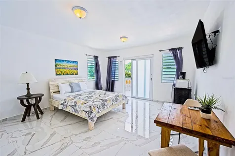 135 Villa Perez Adjuntas PR 00601