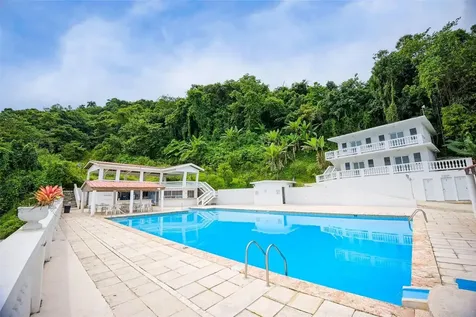 135 Villa Perez Adjuntas PR 00601