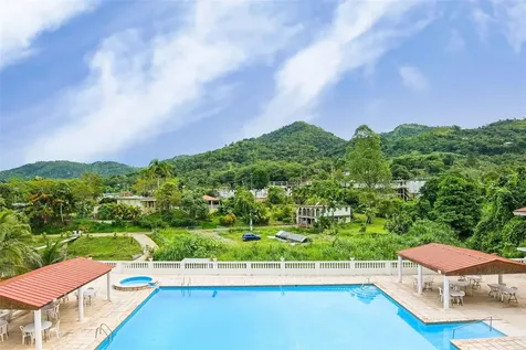 135 Villa Perez Adjuntas PR 00601