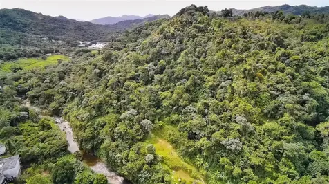 135 Villa Perez Adjuntas PR 00601