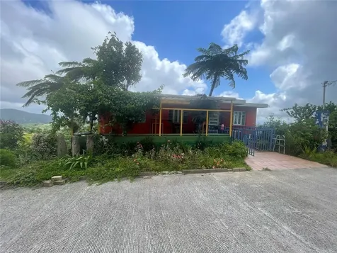 1 Los Pinos Cayey PR 00736