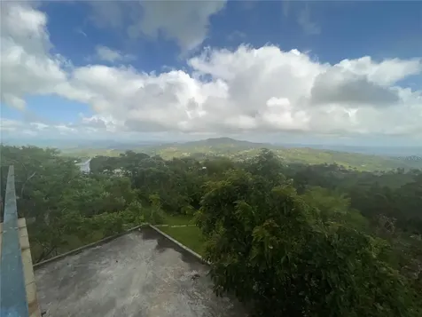 1 Los Pinos Cayey PR 00736