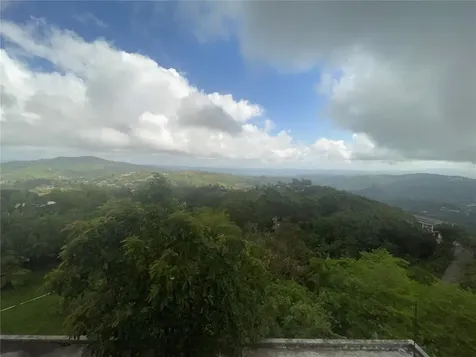 1 Los Pinos Cayey PR 00736