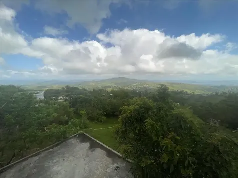 1 Los Pinos Cayey PR 00736