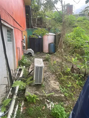 1 Los Pinos Cayey PR 00736