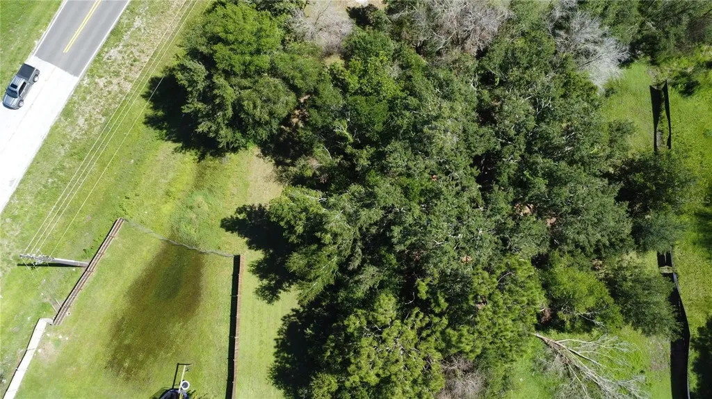 Waldo Dade City FL 33525