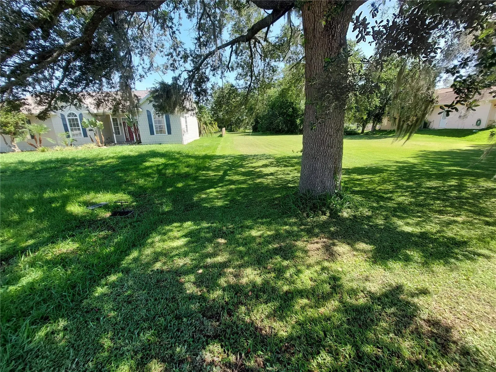 Waldo Dade City FL 33525