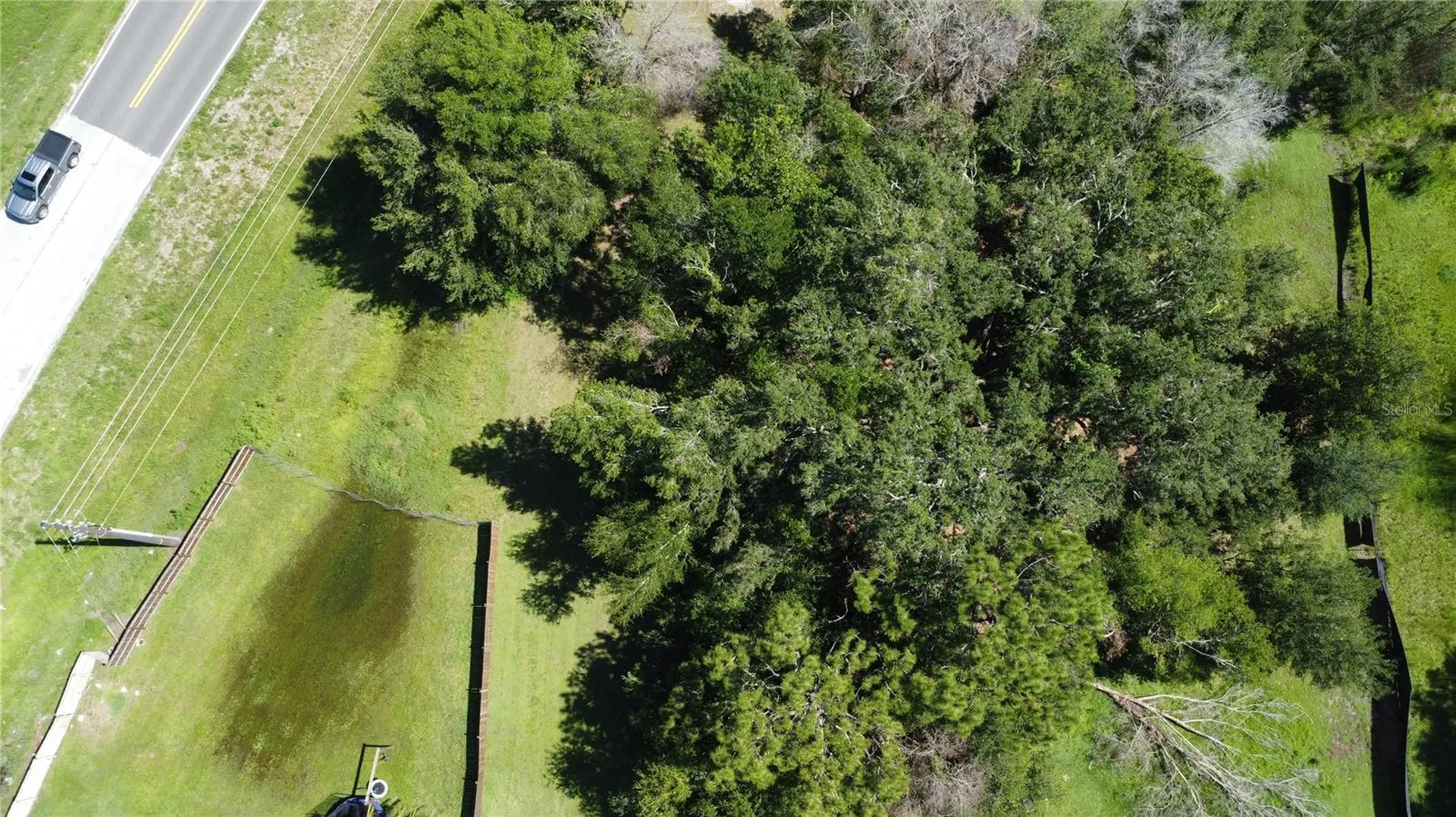 Waldo Dade City FL 33525