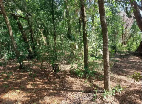 Waldo Dade City FL 33525