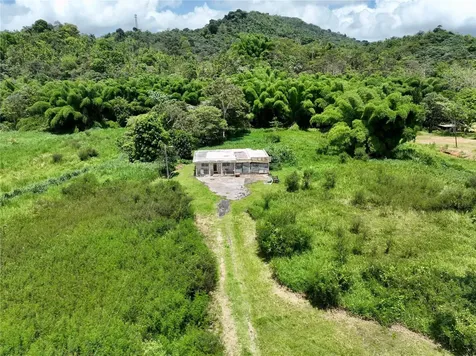 Carr 181 Km 10 Quebrada Honda San Lorenzo PR 00754