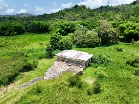 Carr 181 Km 10 Quebrada Honda San Lorenzo PR 00754