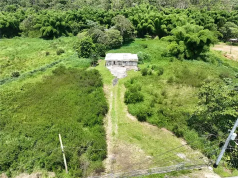 Carr 181 Km 10 Quebrada Honda San Lorenzo PR 00754