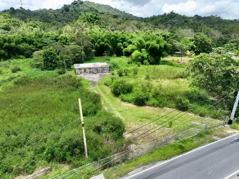 Carr 181 Km 10 Quebrada Honda San Lorenzo PR 00754