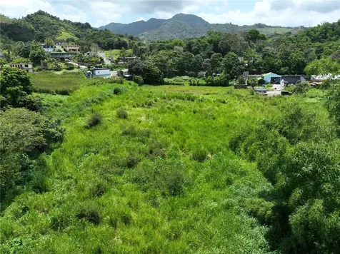 Carr 181 Km 10 Quebrada Honda San Lorenzo PR 00754