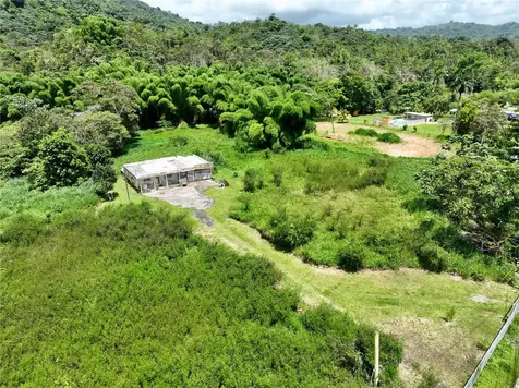 Carr 181 Km 10 Quebrada Honda San Lorenzo PR 00754