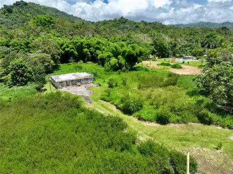 Carr 181 Km 10 Quebrada Honda San Lorenzo PR 00754