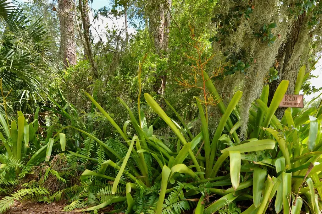 18220 Elmwood Drive Alva FL 33920