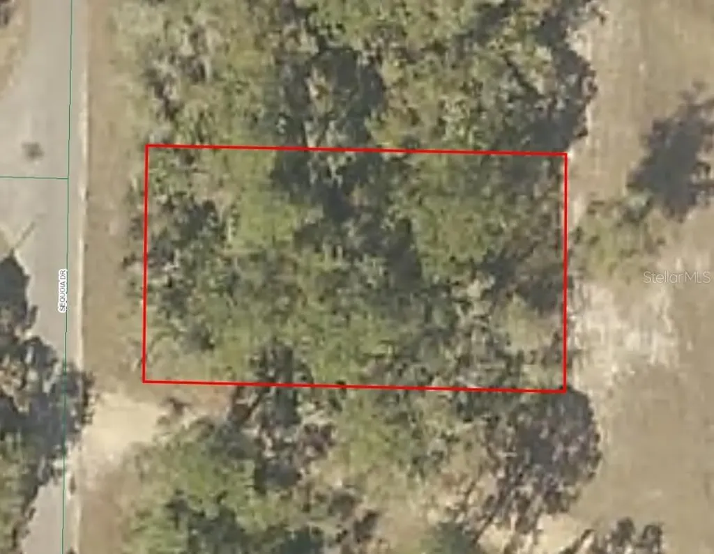Sequoia Drive Ocklawaha FL 32179