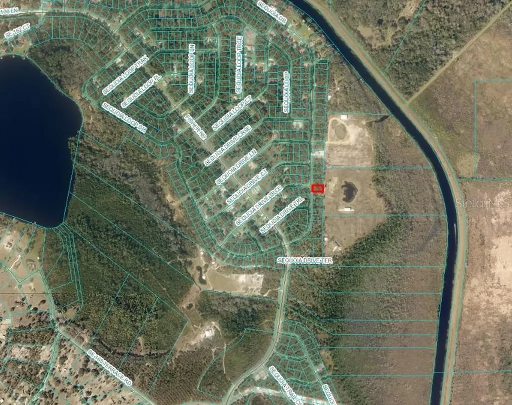 Sequoia Drive Ocklawaha FL 32179